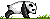 panda :panda: